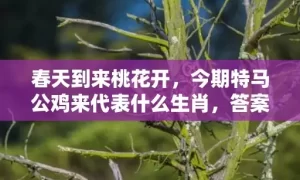 春天到来桃花开，今期特马公鸡来代表什么生肖，答案曝光落实