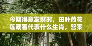 今期得意发财时，田叶荷花莲藕香代表什么生肖，答案曝光落实