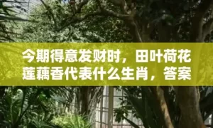 今期得意发财时，田叶荷花莲藕香代表什么生肖，答案曝光落实