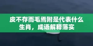 皮不存而毛焉附是代表什么生肖，成语解释落实