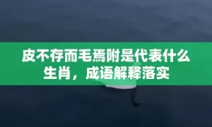 皮不存而毛焉附是代表什么生肖，成语解释落实