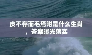 皮不存而毛焉附是什么生肖，答案曝光落实