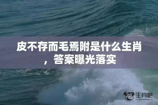 皮不存而毛焉附是什么生肖，答案曝光落实