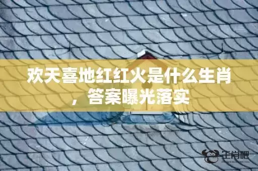 欢天喜地红红火是什么生肖,答案曝光落实 欢天喜地红红火是什么生肖,答案曝光落实