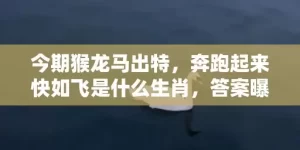 今期猴龙马出特，奔跑起来快如飞是什么生肖，答案曝光落实