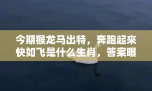 今期猴龙马出特，奔跑起来快如飞是什么生肖，答案曝光落实