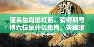 蓝头生肖出红蓝，猜得期号博六位是什么生肖，答案曝光落实