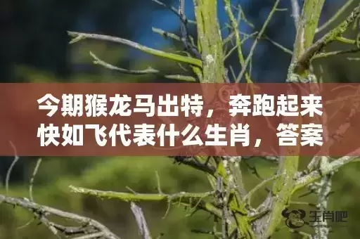 今期猴龙马出特，奔跑起来快如飞代表什么生肖，答案曝光落实
