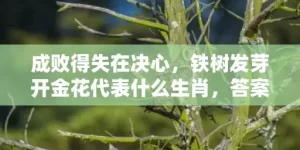 成败得失在决心，铁树发芽开金花代表什么生肖，答案曝光落实