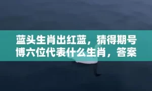 蓝头生肖出红蓝，猜得期号博六位代表什么生肖，答案曝光落实