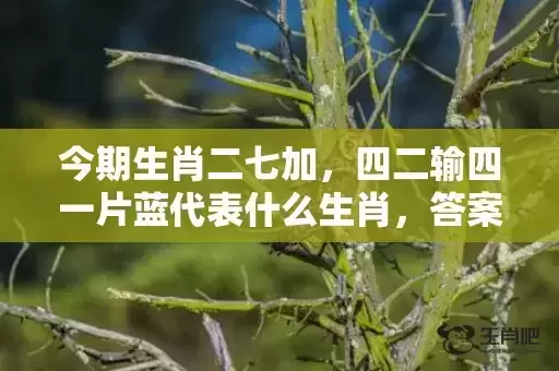 今期生肖二七加，四二输四一片蓝代表什么生肖，答案曝光落实