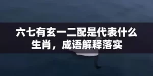 六七有玄一二配是代表什么生肖，成语解释落实