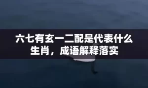 六七有玄一二配是代表什么生肖，成语解释落实