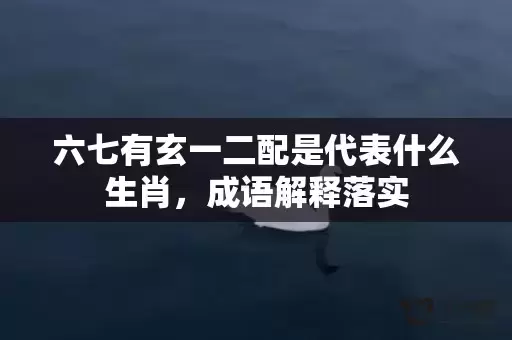 六七有玄一二配是代表什么生肖，成语解释落实