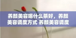 养颜美容喝什么茶好，养颜美容调度方式 养颜美容调度方式