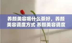 养颜美容喝什么茶好，养颜美容调度方式 养颜美容调度方式