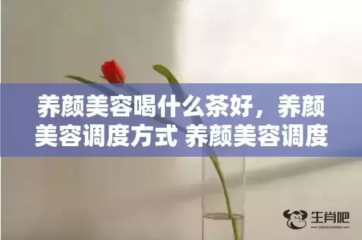 养颜美容喝什么茶好,养颜美容调度方式 养颜美容调度方式 养颜美容喝什么茶好,养颜美容调度方式 养颜美容调度方式