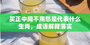 买正中间不用愁是代表什么生肖，成语解释落实