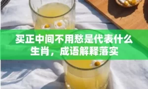 买正中间不用愁是代表什么生肖，成语解释落实