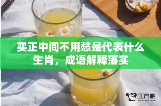 买正中间不用愁是代表什么生肖,成语解释落实 买正中间不用愁是代表什么生肖,成语解释落实