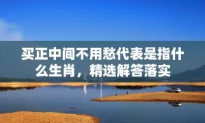 买正中间不用愁代表是指什么生肖，精选解答落实