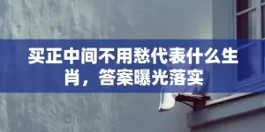 买正中间不用愁代表什么生肖，答案曝光落实