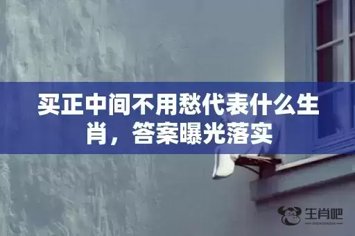 买正中间不用愁代表什么生肖,答案曝光落实 买正中间不用愁代表什么生肖,答案曝光落实