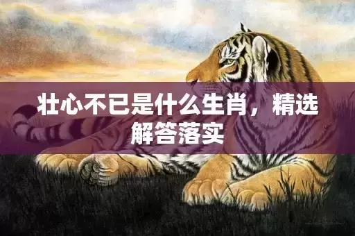 壮心不已是什么生肖,精选解答落实 壮心不已是什么生肖,精选解答落实