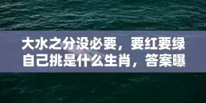 大水之分没必要，要红要绿自己挑是什么生肖，答案曝光落实