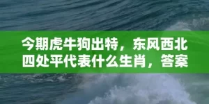 今期虎牛狗出特，东风西北四处平代表什么生肖，答案曝光落实