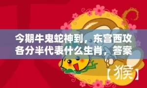 今期牛鬼蛇神到，东宫西攻各分半代表什么生肖，答案曝光落实