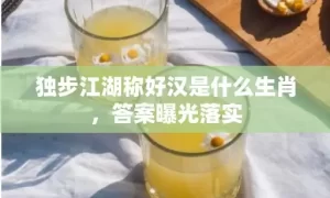 独步江湖称好汉是什么生肖，答案曝光落实