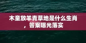 木童放羊青草地是什么生肖，答案曝光落实