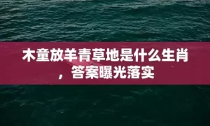 木童放羊青草地是什么生肖，答案曝光落实