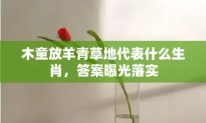 木童放羊青草地代表什么生肖，答案曝光落实