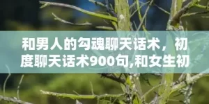 和男人的勾魂聊天话术，初度聊天话术900句,和女生初度聊天话术900句