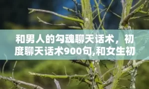 和男人的勾魂聊天话术，初度聊天话术900句,和女生初度聊天话术900句