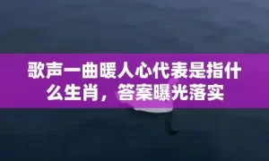 歌声一曲暖人心代表是指什么生肖，答案曝光落实