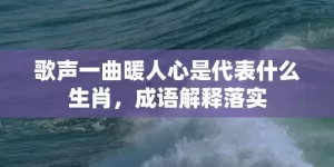 歌声一曲暖人心是代表什么生肖，成语解释落实