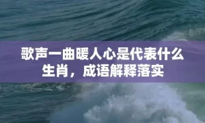 歌声一曲暖人心是代表什么生肖，成语解释落实