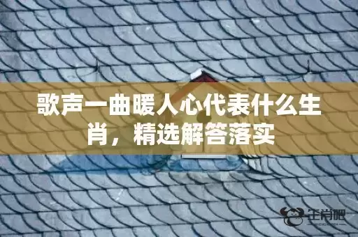 歌声一曲暖人心代表什么生肖，精选解答落实