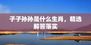 子子孙孙是什么生肖，精选解答落实