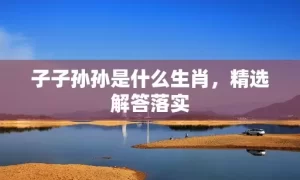 子子孙孙是什么生肖，精选解答落实