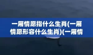 一厢情愿指什么生肖(一厢情愿形容什么生肖)(一厢情愿指什么生肖)