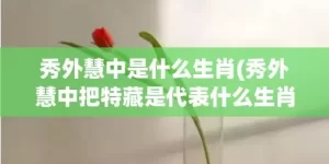 秀外慧中是什么生肖(秀外慧中把特藏是代表什么生肖)(秀外慧中是什么生肖 ?正确解释)