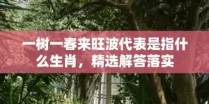 一树一春来旺波代表是指什么生肖，精选解答落实