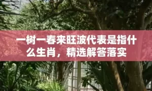 一树一春来旺波代表是指什么生肖，精选解答落实