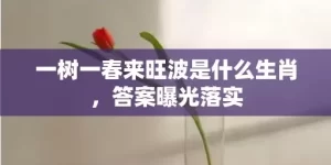 一树一春来旺波是什么生肖，答案曝光落实