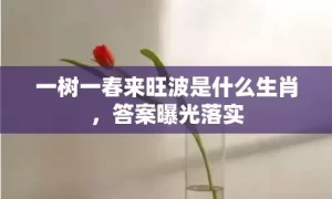 一树一春来旺波是什么生肖，答案曝光落实