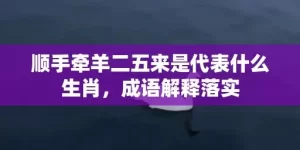 顺手牵羊二五来是代表什么生肖，成语解释落实